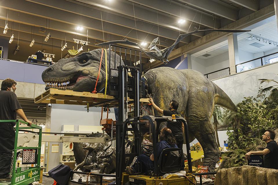 A large robotic dinosaur sits on a platform, above the team of workers. From below, a worker operates a forklift that is lifting a wooden pallet containing the dinosaur's head whlie another worker stands by, guiding the pallet from the outside.